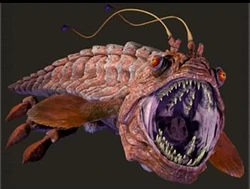 Opee sea killer