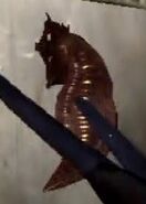 Leech-AliensExtermination.jpg (10 KB) "Leech"