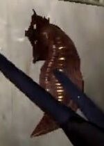 Leech-AliensExtermination.jpg