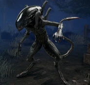 Xenomorph (DBD) .png (1.31 MB) Xenomorph (DBD)