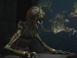 XindiInsectoid.jpg