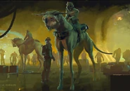 Concept art depicting a fathier having a more owl like face
