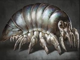 Kaiju Skinmite