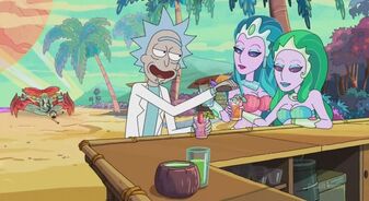 Rick-and-morty-beach-e1444279778524-750x410