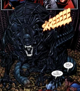 ParademonXenomorphQueen.jpg (638 KB) Parademon Queen