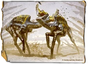 Two Tardmoids fighting for a mate