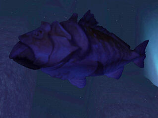 Halo fish.jpg