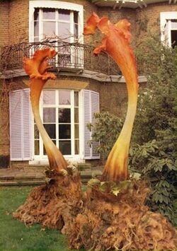 Triffids-1981