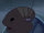 Ensign Getco's Species