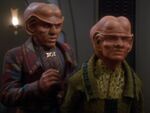 Ferengi-dimorphism