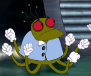 Jay.webp (20 KB) Jay