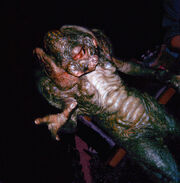 Mor-taxan full-body shot