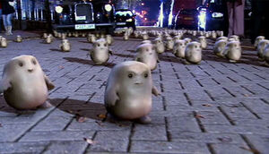 Adipose