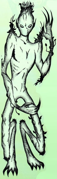 WestVirginiaVegetableMan