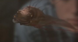 TF-1.png