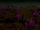 Tho'rahl'shothan