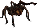 Frostbite Spider