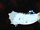 Four-dimensional Space Whale