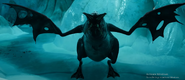 The mutant penguin