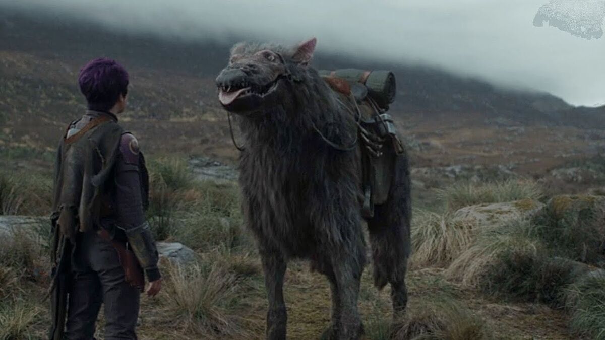 Howler (Star Wars) Alien Species Fandom