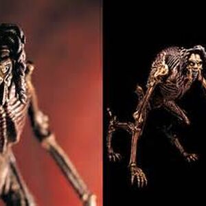 Sil S Species Alien Species Fandom