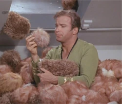 Captain Kirk and "some" Tribbles located on the Enterprise in 2268