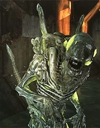 BoilerXenomorph.png (207 KB) Boiler