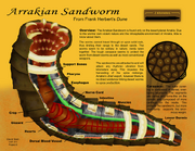 Sandworm