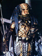 Elder Predator