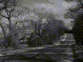 8. Meba flies home..gif (3.9 MB) Meba flies home.