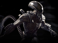 TarkatanXenomorph.png