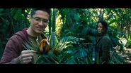 010PTS Alice Braga 003.jpg (100 KB)