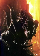 Aw CC11757.jpg (54 KB)