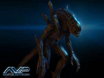 Alienwarrior.jpg