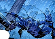 Király Forficula.jpg (124 KB) Óriás bogár.