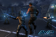 AVP Screenshot A 1800x1200 H Logo