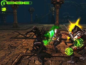 Avp evolution1.jpg