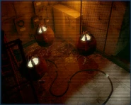 SewerJunctionImage Eggs.png (122 KB) Objective 2 image