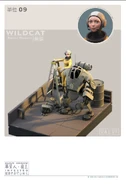 Wildcat