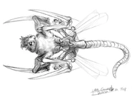 Ditto, top view and with only a single tail.