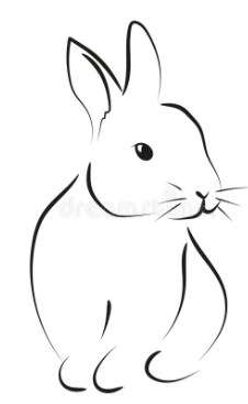 Angora | All About Bunnies Wiki | Fandom