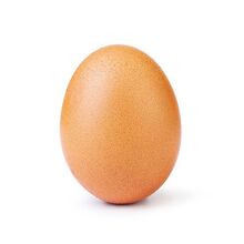 L'eggs - Wikipedia