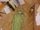 Episode 17 - The Dress is the Question/Image gallery
