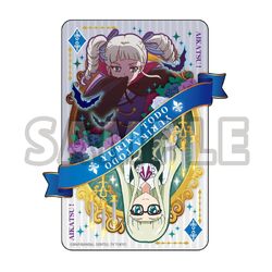 Amazon.com: Data Carddas Aikatsuon Parade! Official Binder