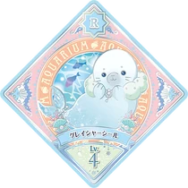 P-82r 00