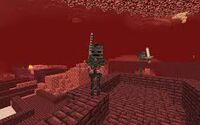 Wither nether fortress