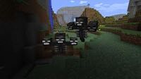 Wither 5