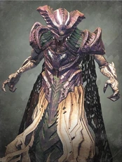 Wizard (Destiny)