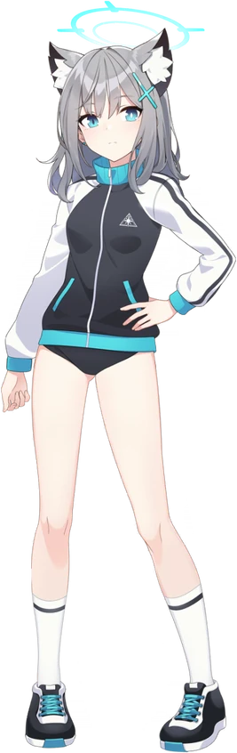 Sportswear