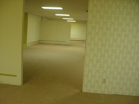 Gallery of Why Are Liminal Spaces Eerie? The Case of The Backrooms - 1